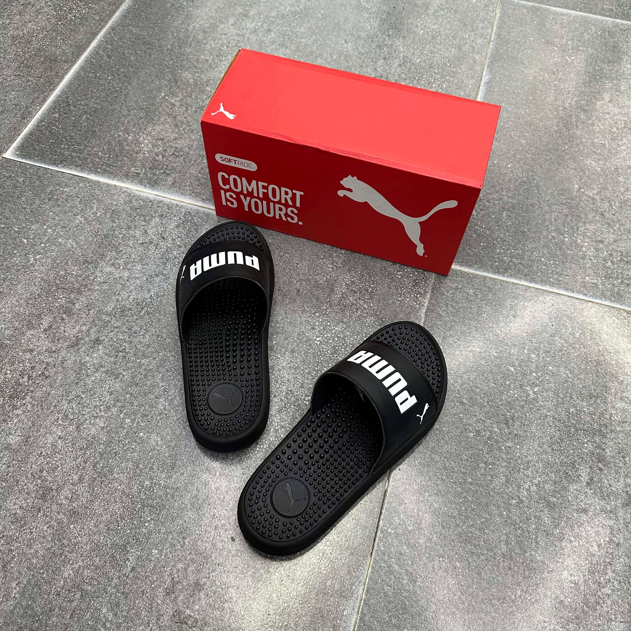 598244707_1921236855092146_7914414718384968921_n