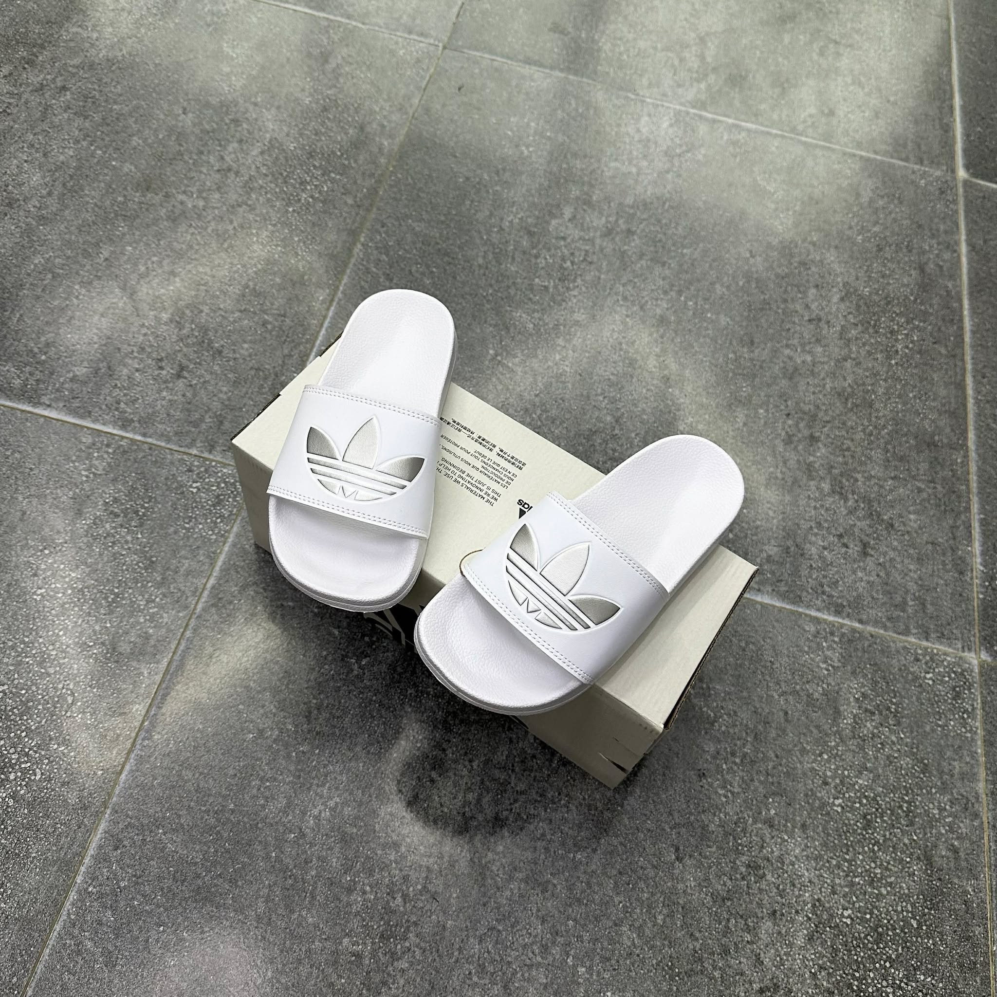 608836813_1444048857139908_8282638530787705160_n